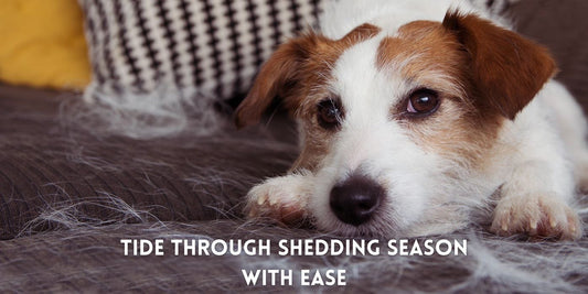 Dealing with Shedding