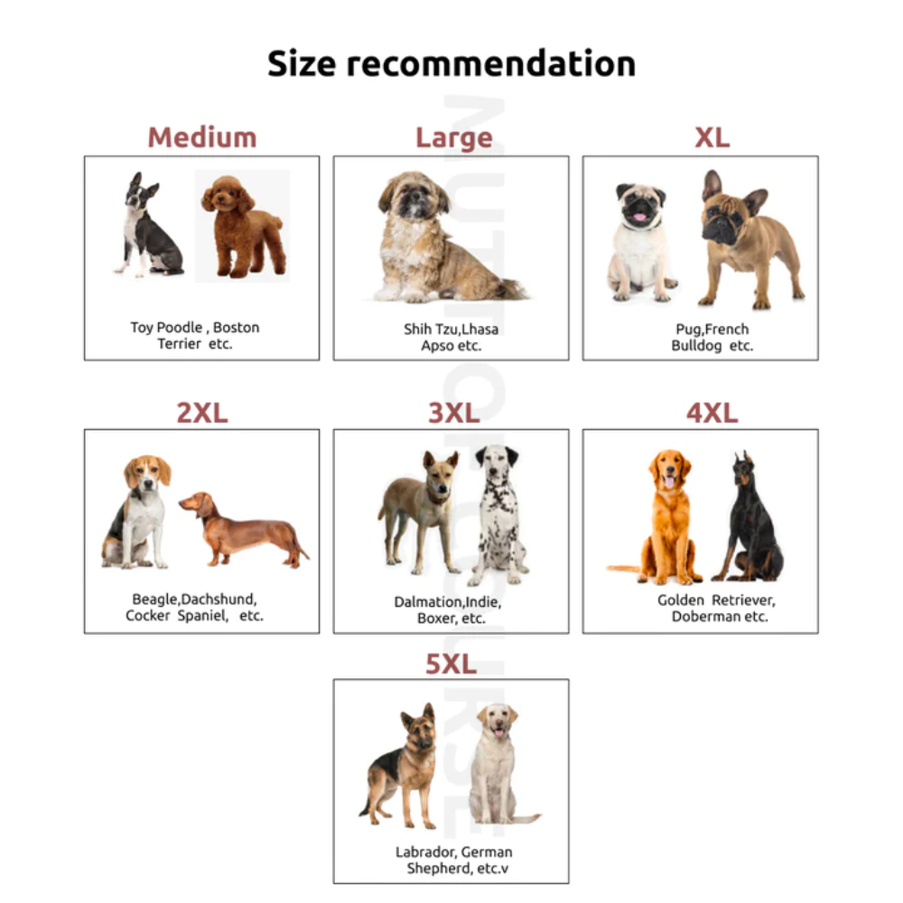 Mutt of Course - Red Raincoat