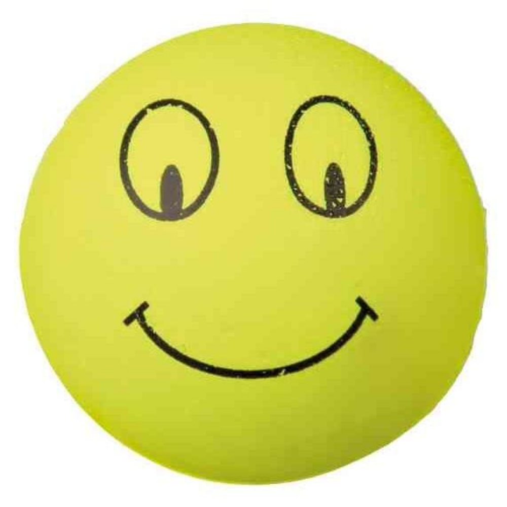 Trixie Smiley Ball Floatable Foam Rubber Ball Assorted Motifs