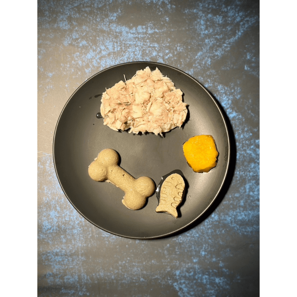 Fruit De Mer (125gm) Meals for Cats