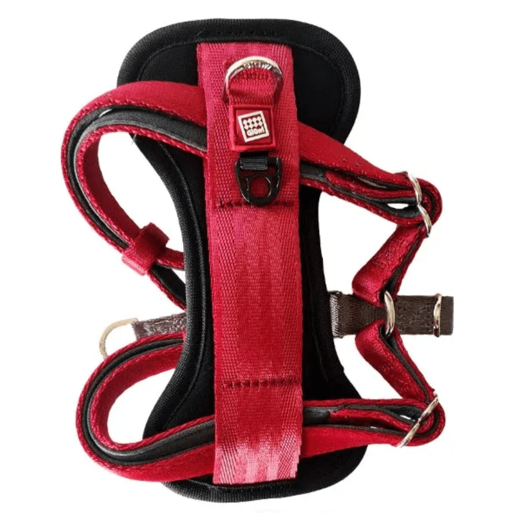 Gigwi Harness Premium Line Assorted Colors