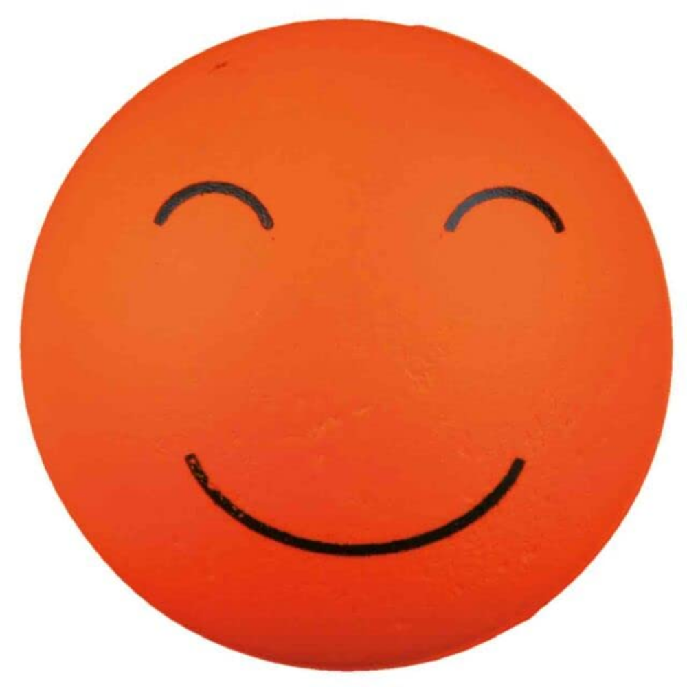 Trixie Smiley Ball Floatable Foam Rubber Ball Assorted Motifs