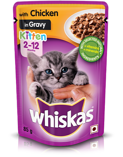 Whiskas Chicken In Gravy Kitten (85g) - (Pack Of 1pcs)