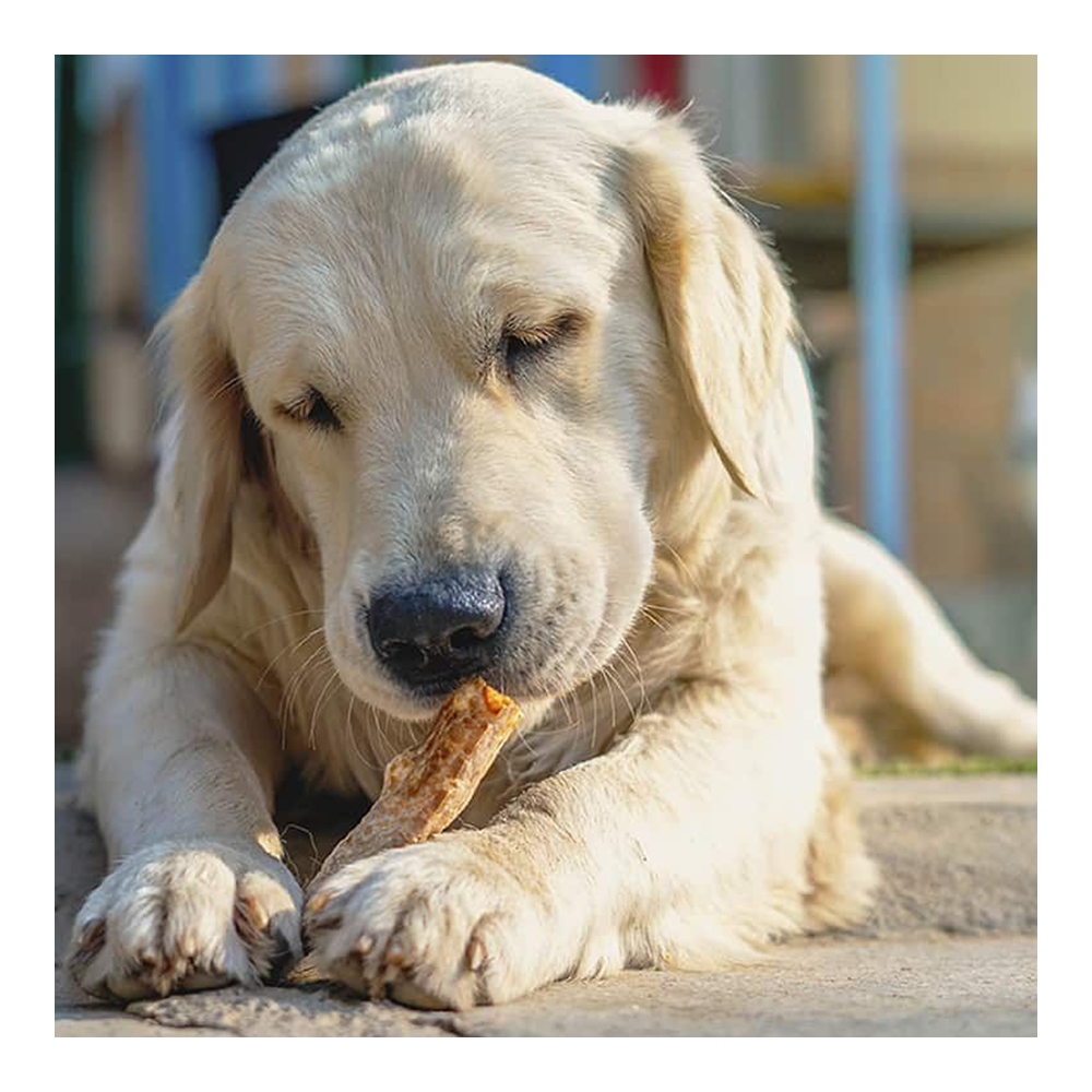 Dogsee Chew Crunchies (70 grams)