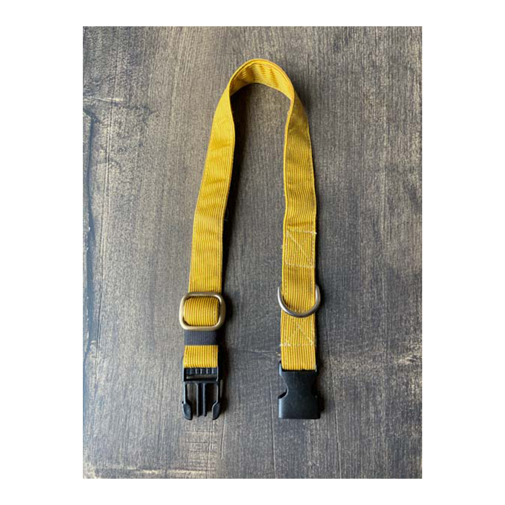 Fur Buddies Dandelion Yellow Collar