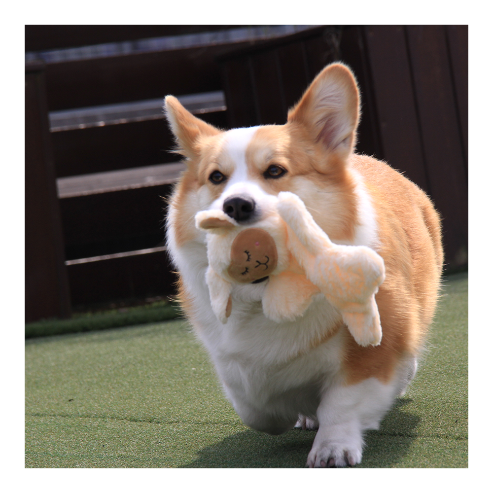 Bark Butler X Fofos Glove Plush Sheep