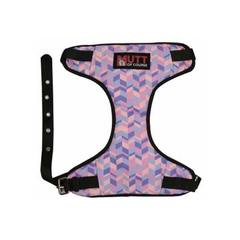 Mutt of Course Geometrical Light Harness