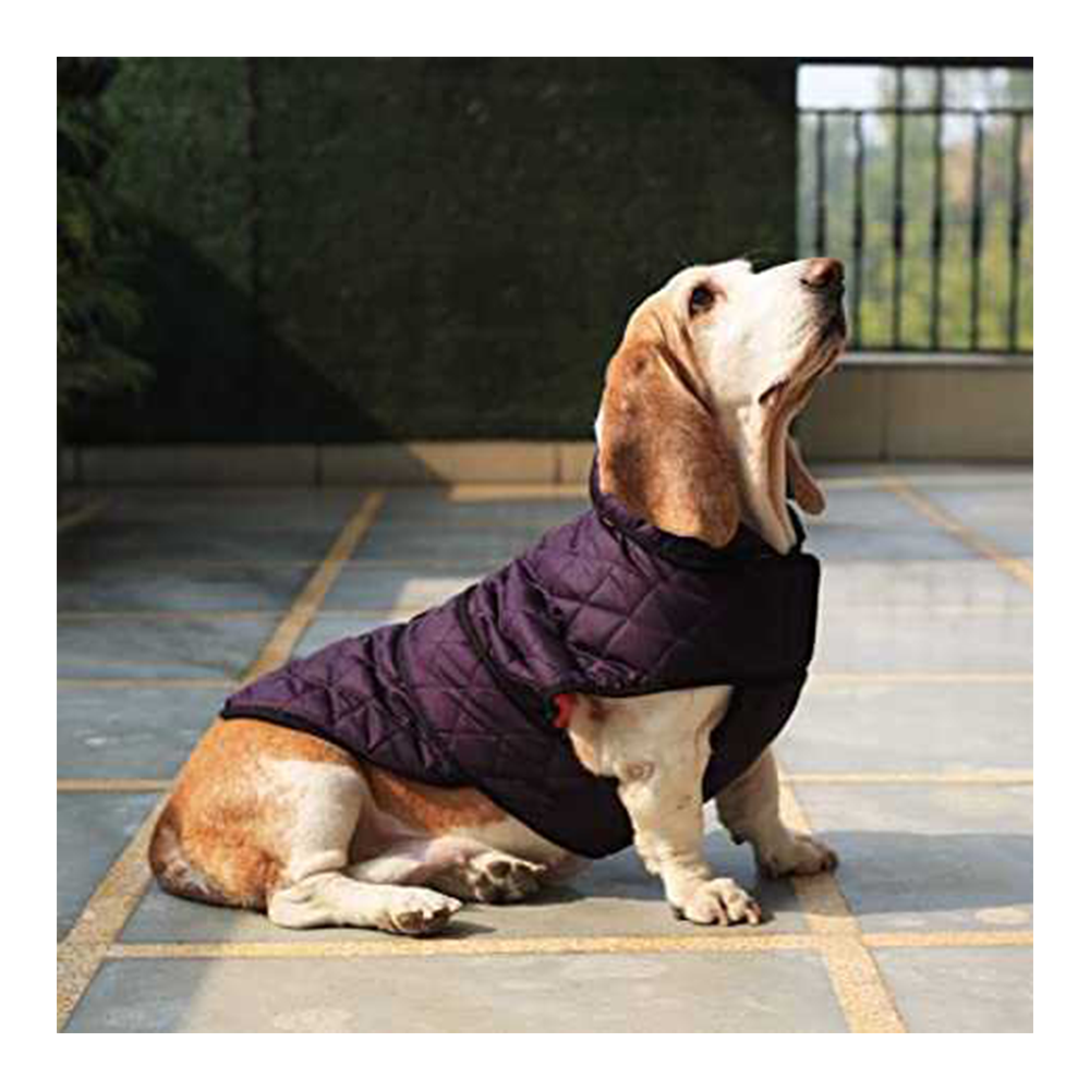 Mutt Of Course Waterproof bomber jacket
