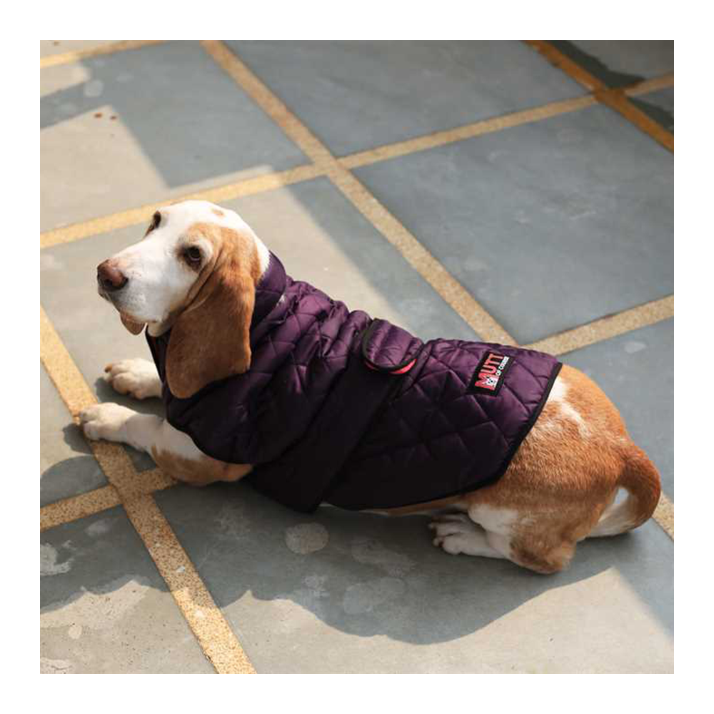 Mutt Of Course Waterproof bomber jacket