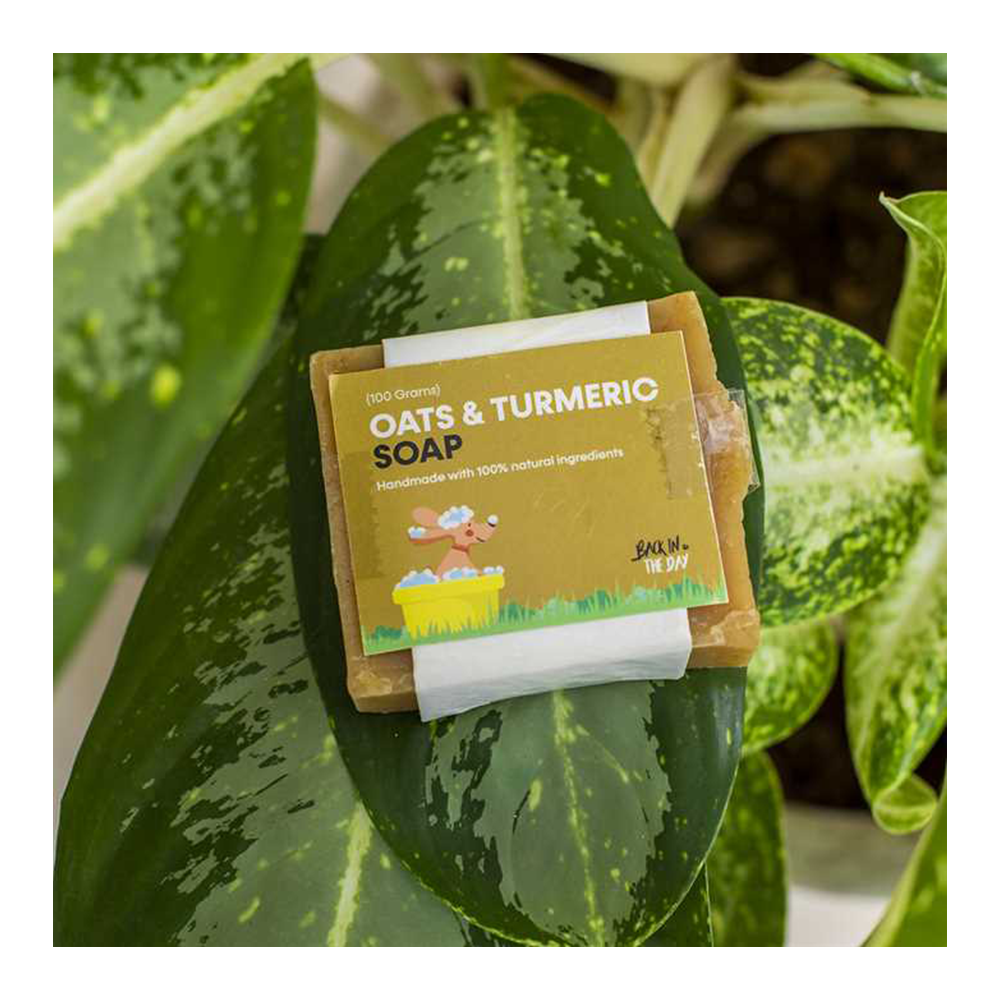Back In The Day Oats Turmeric Soap (100 grams)