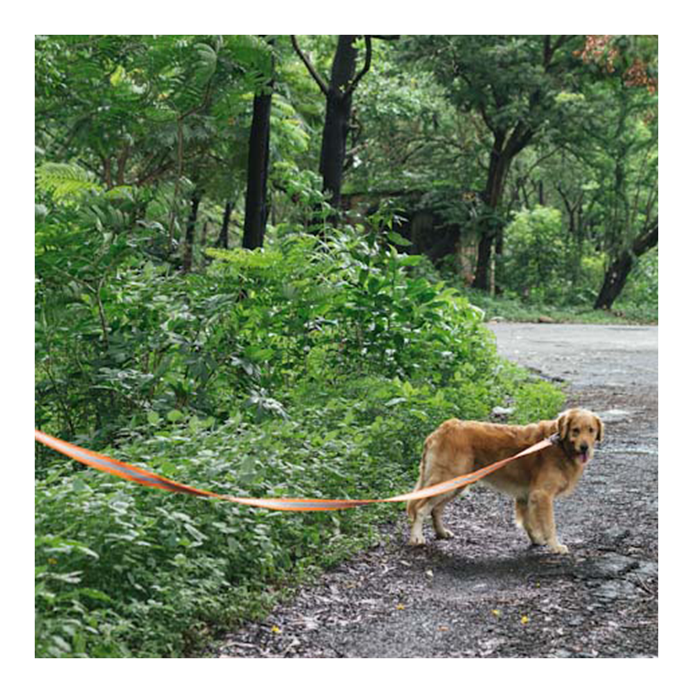Fur Buddies Orange Neon 20-feet dual-reflective Long Lines