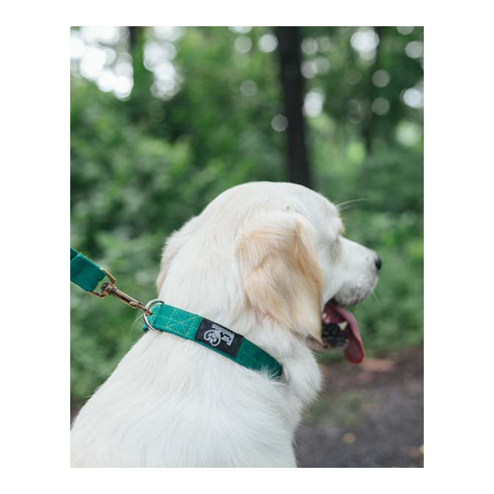 Fur Buddies Pine Green Collar