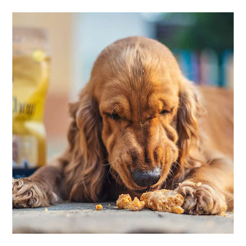 Dogsee Chew Puffy Bars (70 grams)