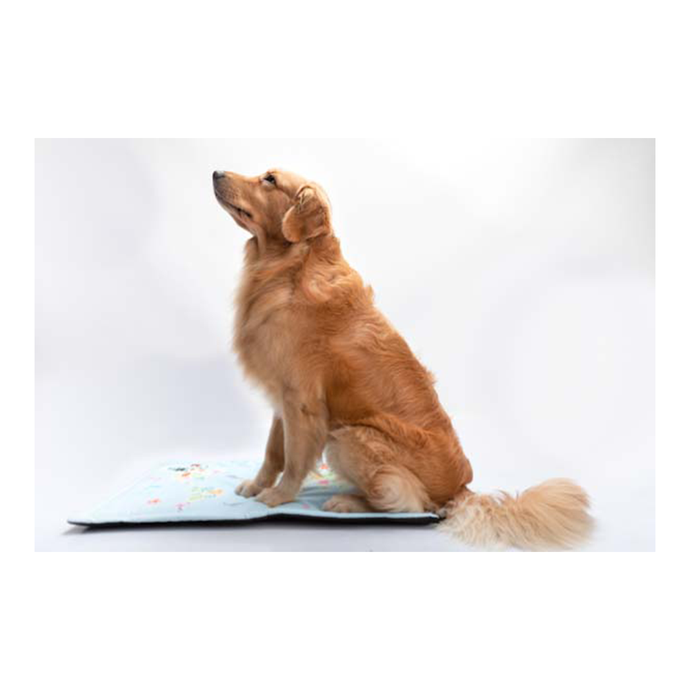 Fur Buddies The Fur Map Mat