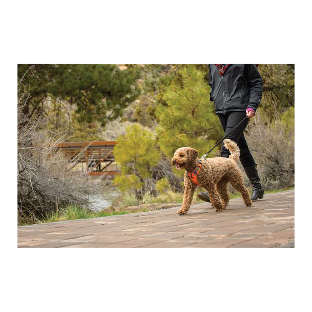 Ruffwear Front Range Harness - Tumalo Teal