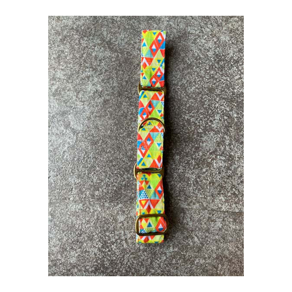 Fur Buddies Viva La Vibrance Denim Martingale Collar