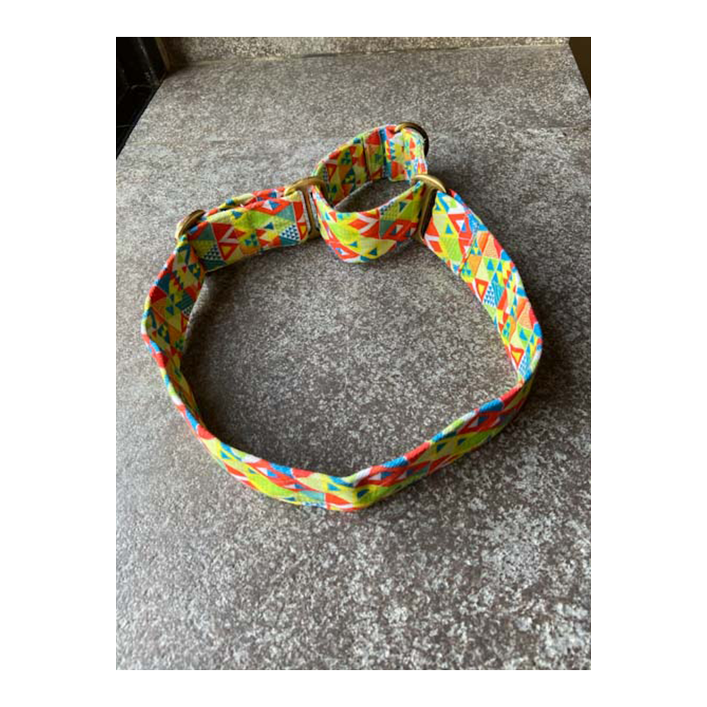 Fur Buddies Viva La Vibrance Denim Martingale Collar