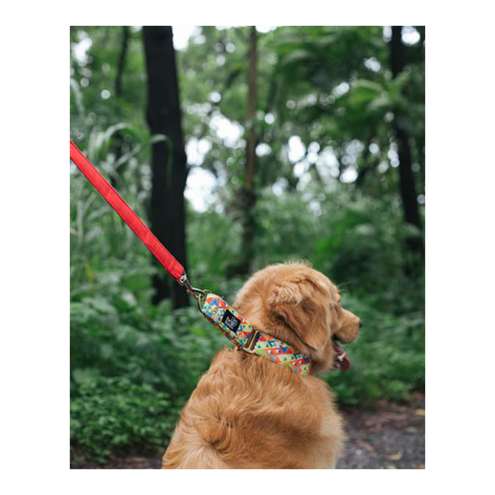 Fur Buddies Viva La Vibrance Denim Martingale Collar