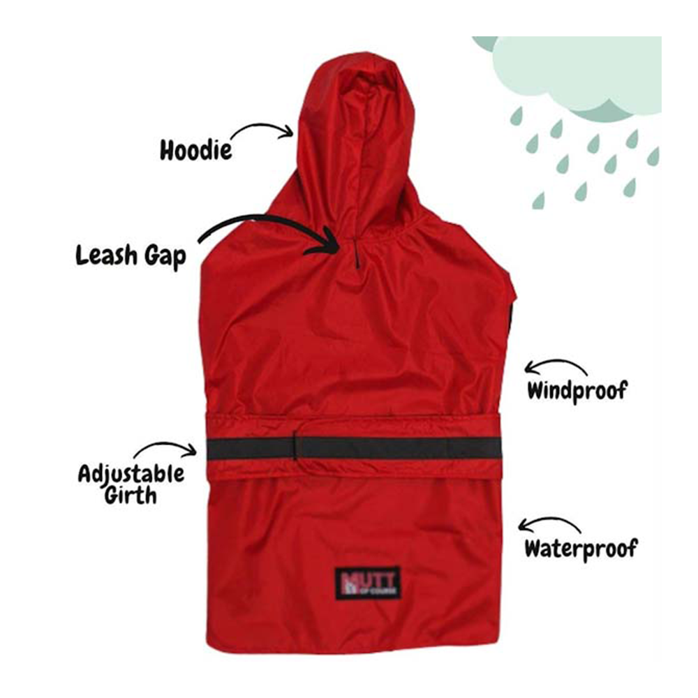 Mutt of Course - Red Raincoat