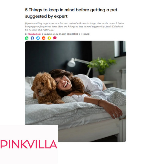 5 Things to keep in mind before getting a pet suggested by expert