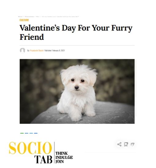 Valentine’s Day For Your Furry Friend