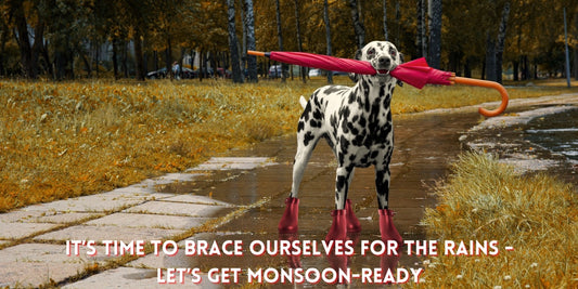 Gearing up for the Monsoons