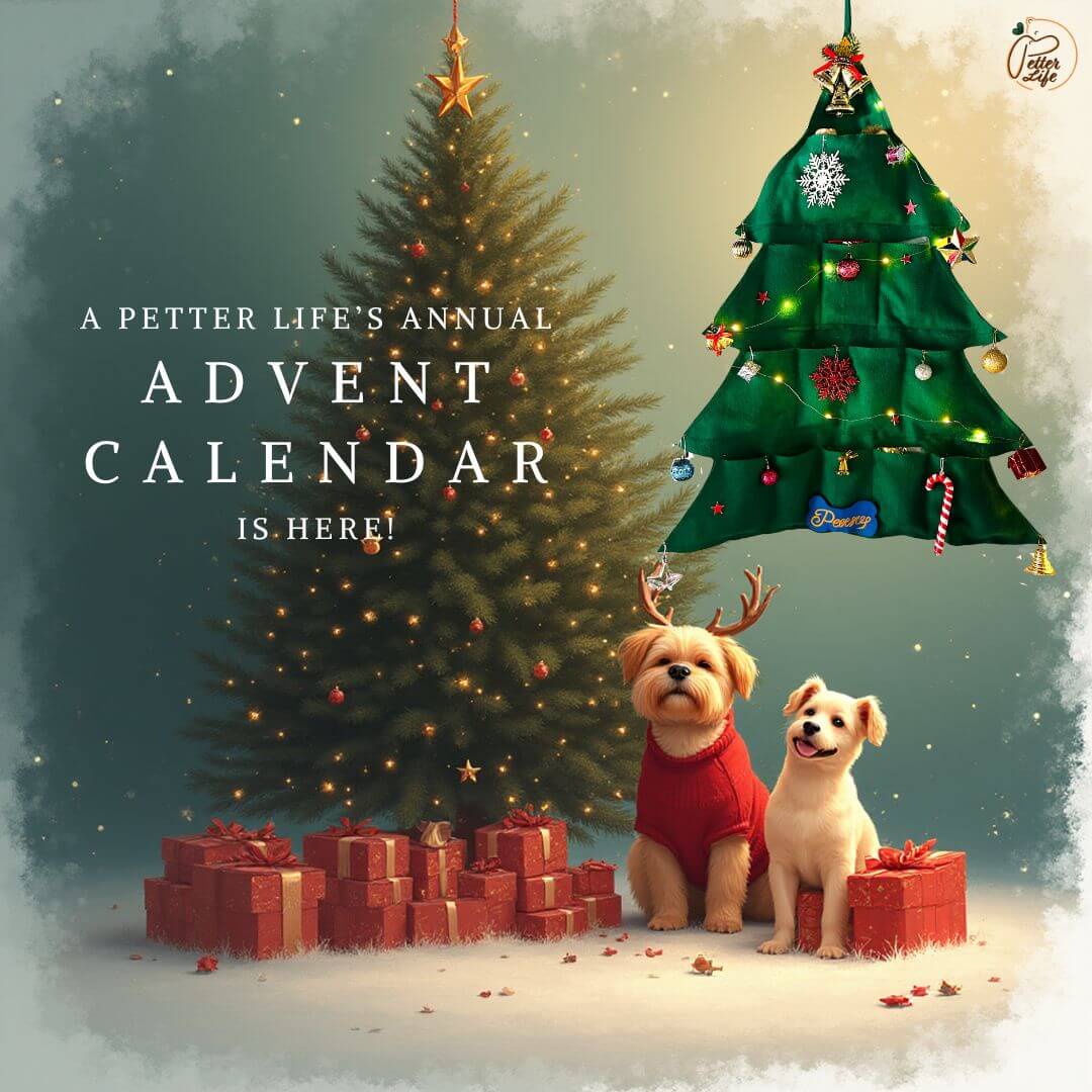 A Petter Life Advent Calendar