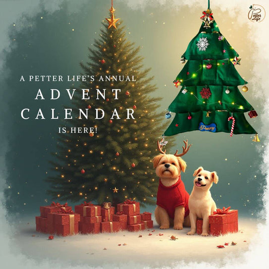 A Petter Life Advent Calendar