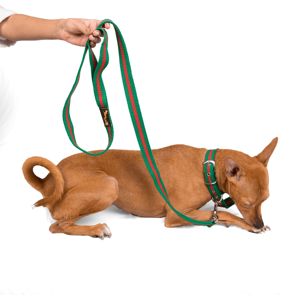 Let's Wag Single Handle Fabric Leash – Green & Red