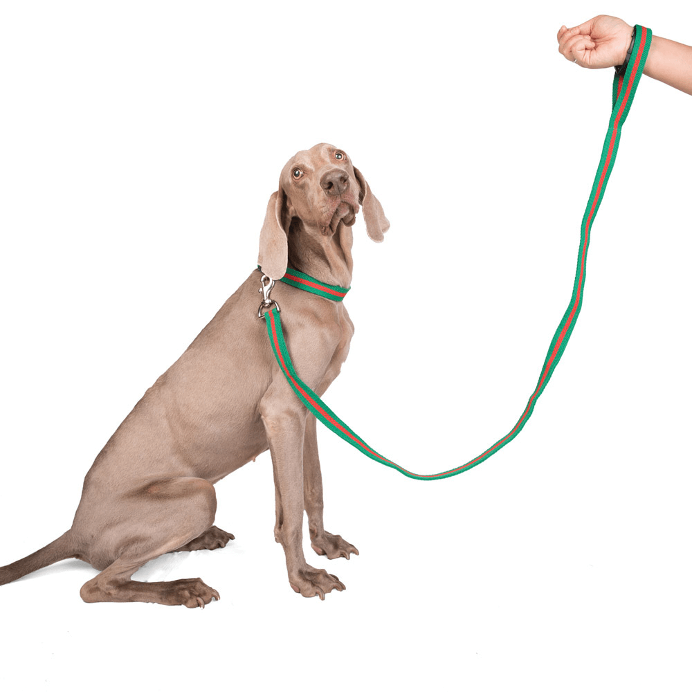 Let's Wag Single Handle Fabric Leash – Green & Red