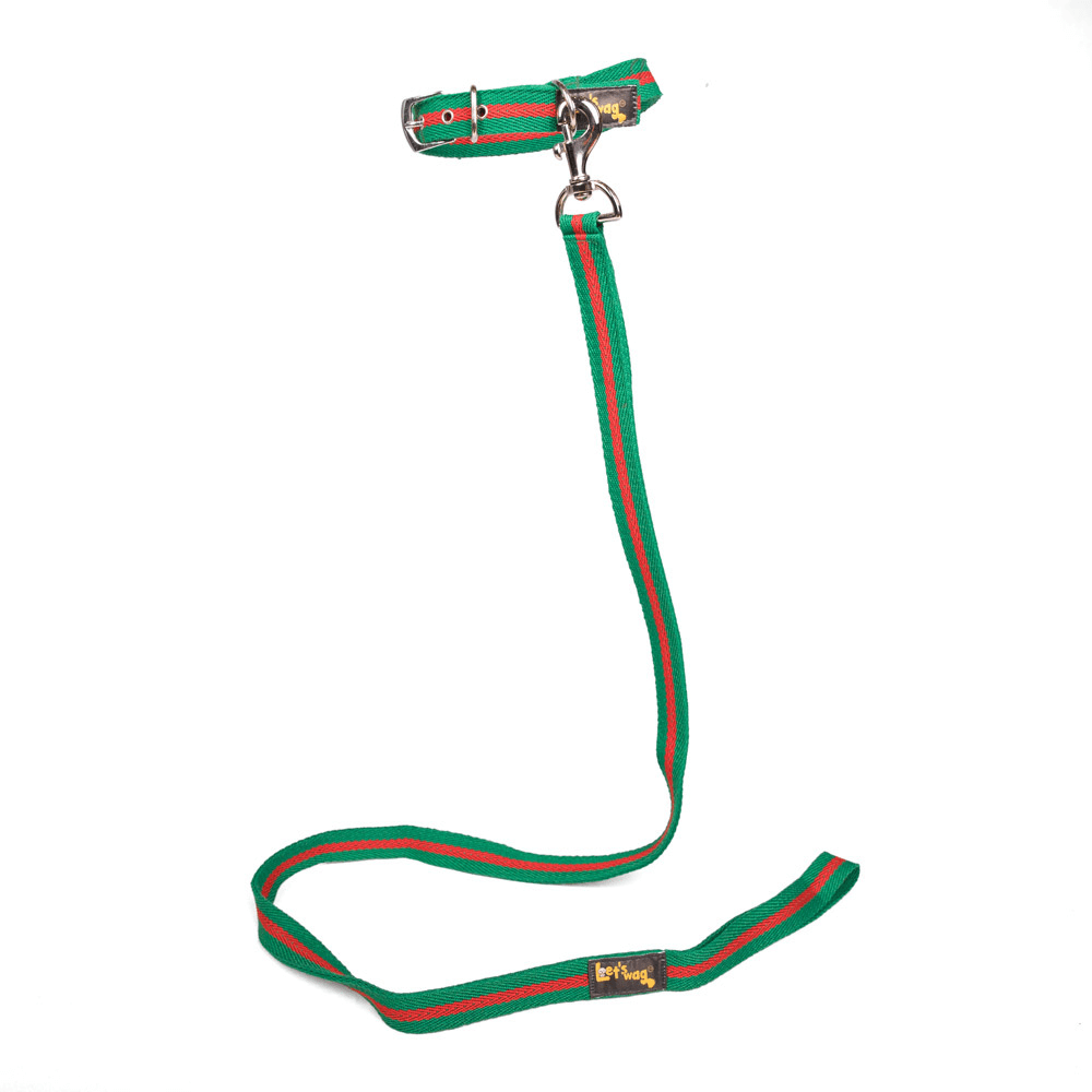 Let's Wag Single Handle Fabric Leash – Green & Red