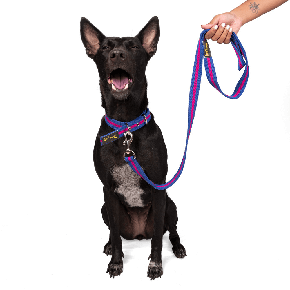 Let's Wag Single Handle Fabric Leash – Blue & Pink