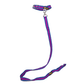 Let's Wag Single Handle Fabric Leash – Blue & Pink