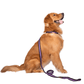 Let's Wag Single Handle Fabric Leash – Black & Purple