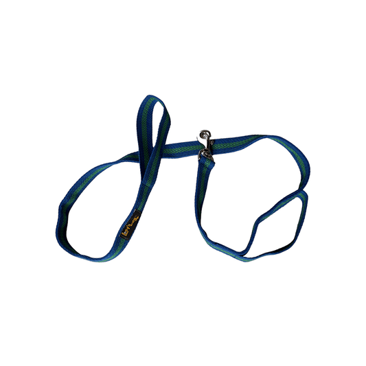 Let's Wag Double Handle Fabric Leash – Blue & Green