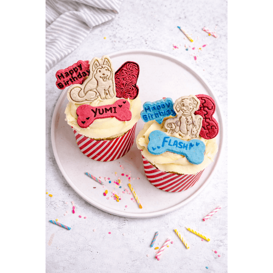 Giant Gourmet Doggie Delight Pupcake