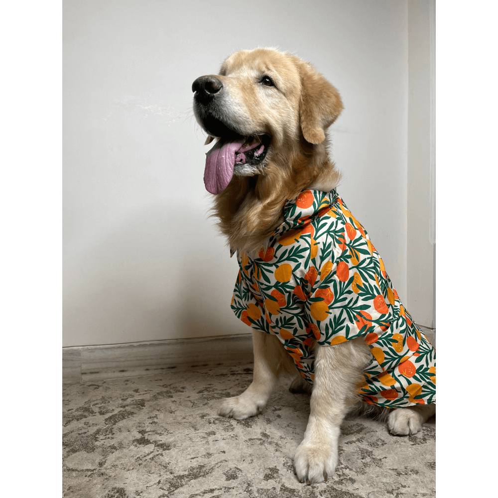 ADog Zesty Shirt