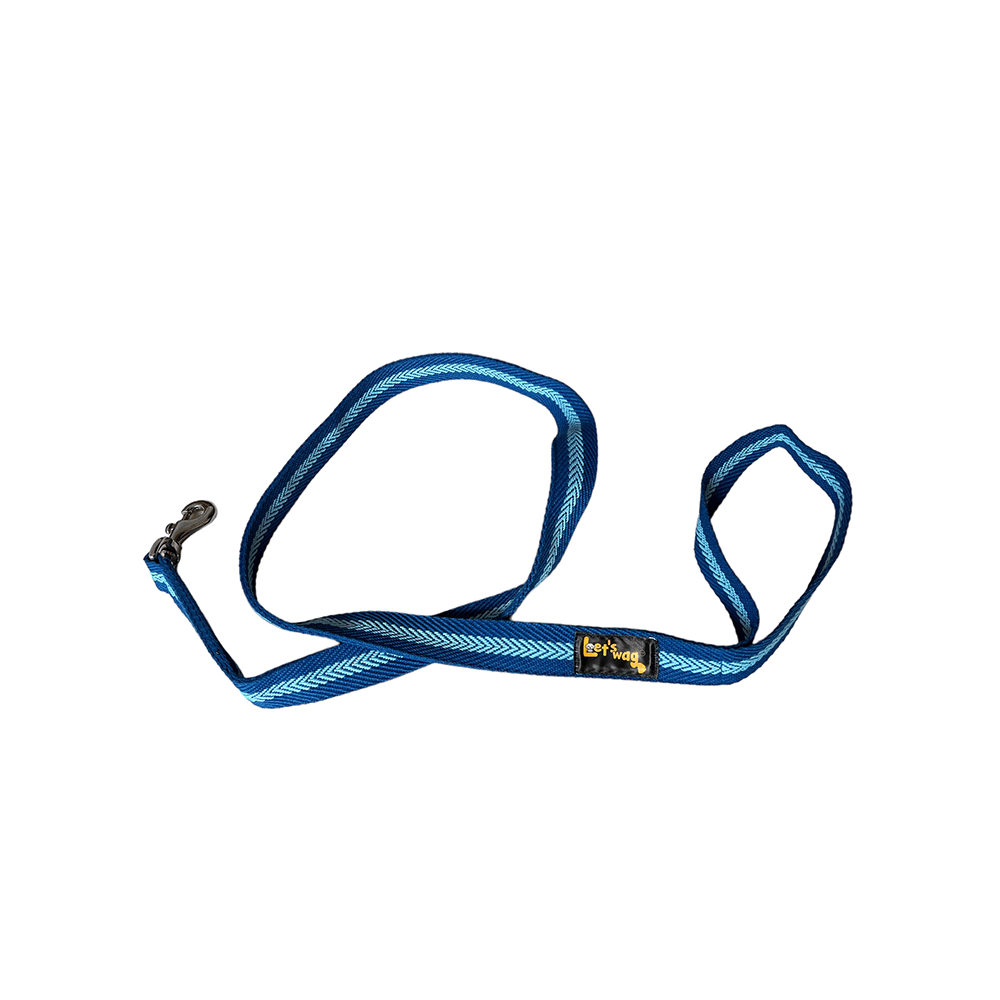Let's Wag Single Handle Fabric Leash – Blue & Light Blue
