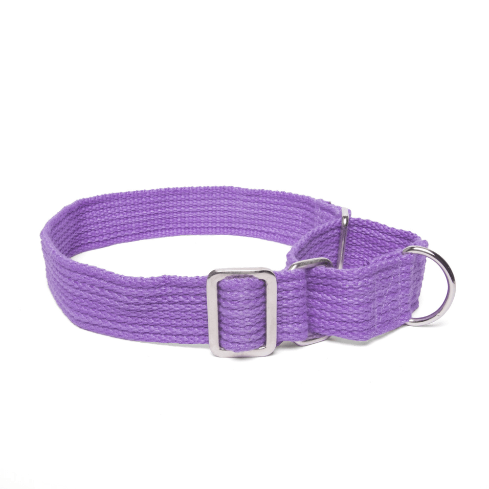 Let's Wag Martingale Fabric Collar – Purple