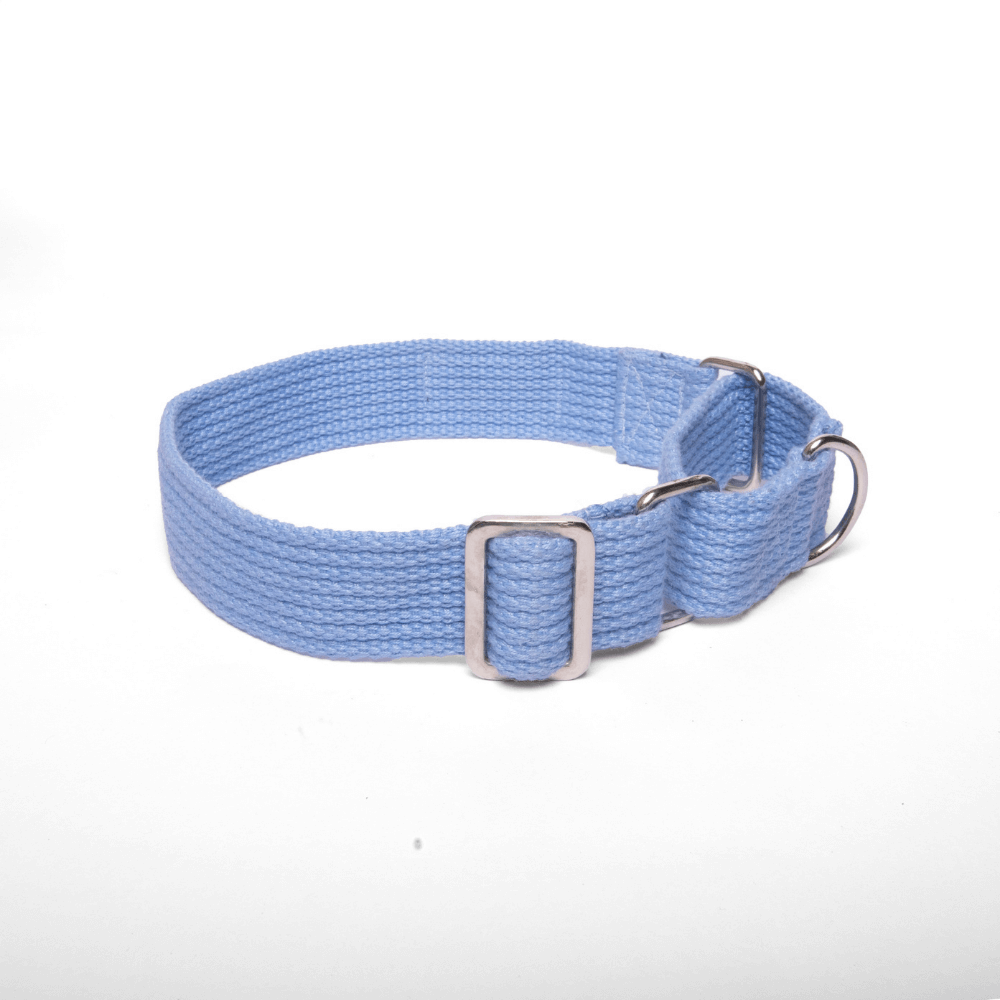 Let's Wag Martingale Fabric Collar – Sky Blue