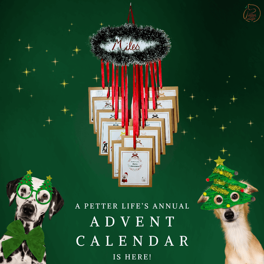 A Petter Life Advent Calendar