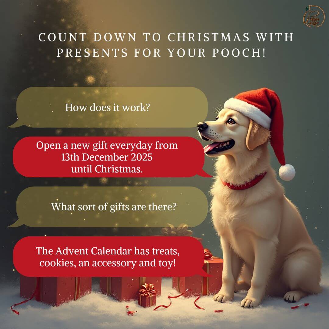 A Petter Life Advent Calendar