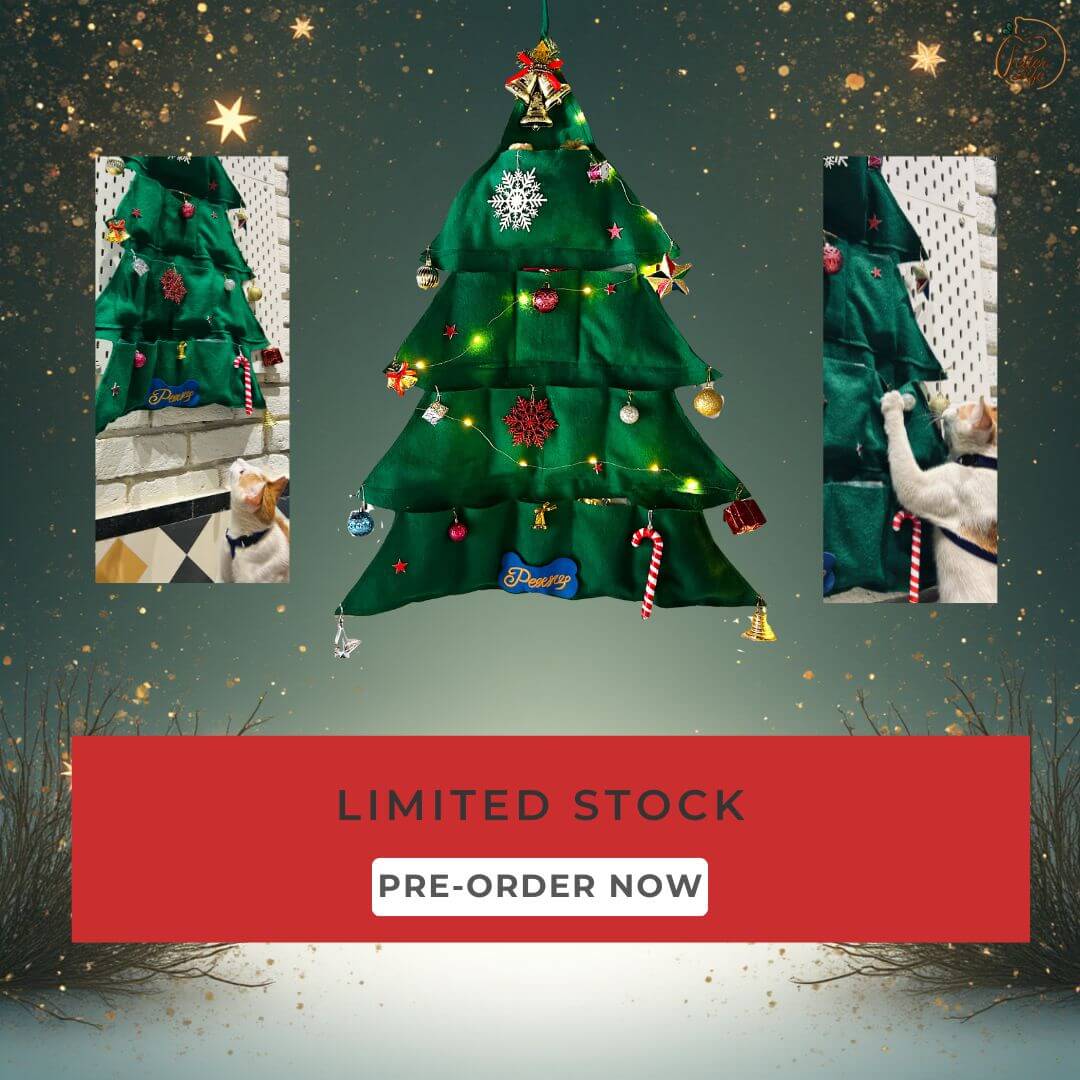 A Petter Life Advent Calendar