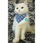 Nutriwoof The Goth Bandana