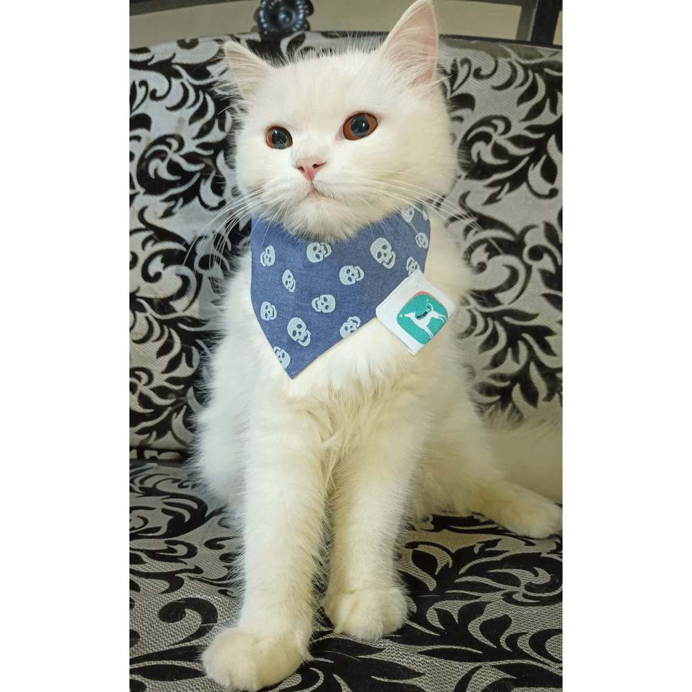 Nutriwoof The Goth Bandana