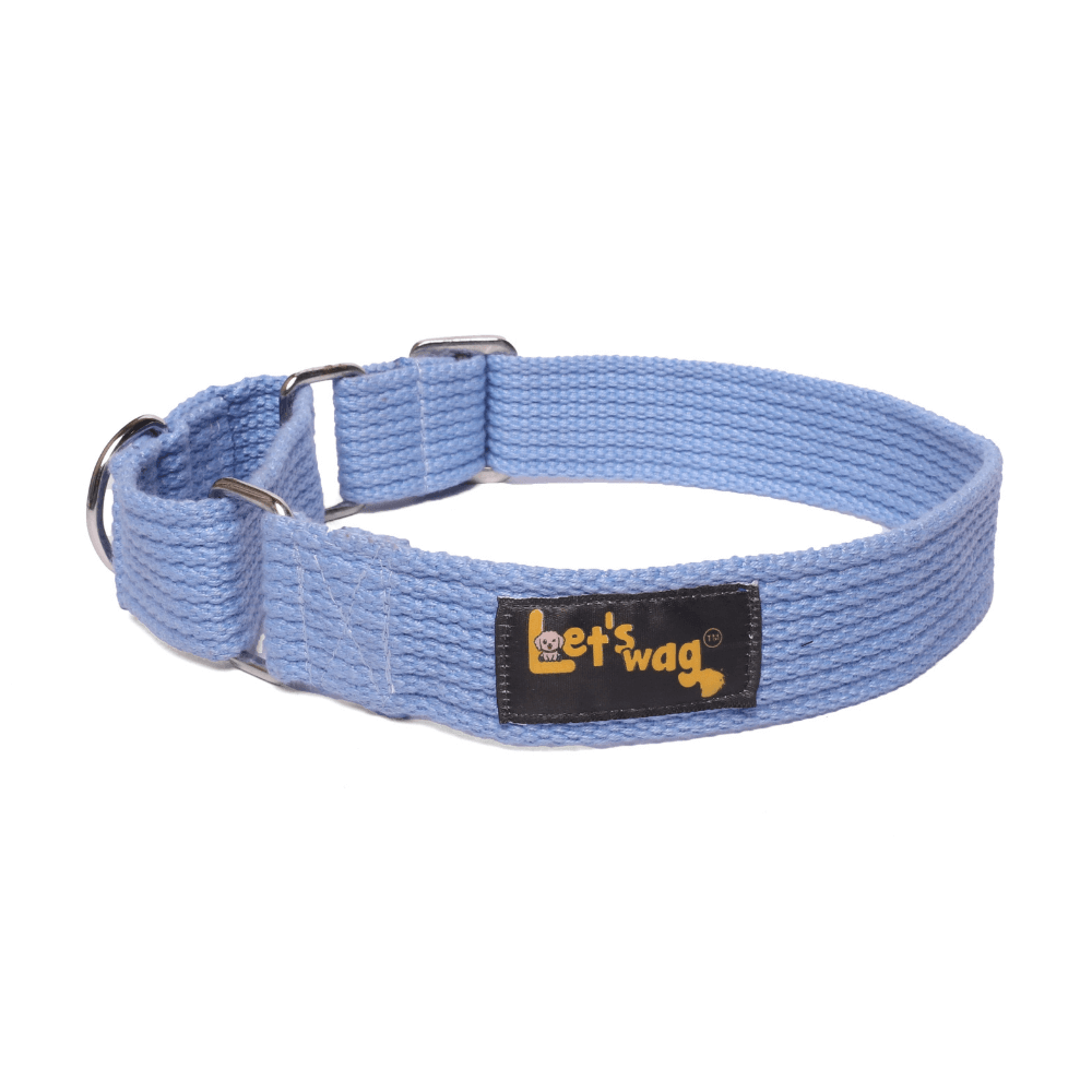 Let's Wag Martingale Fabric Collar – Sky Blue