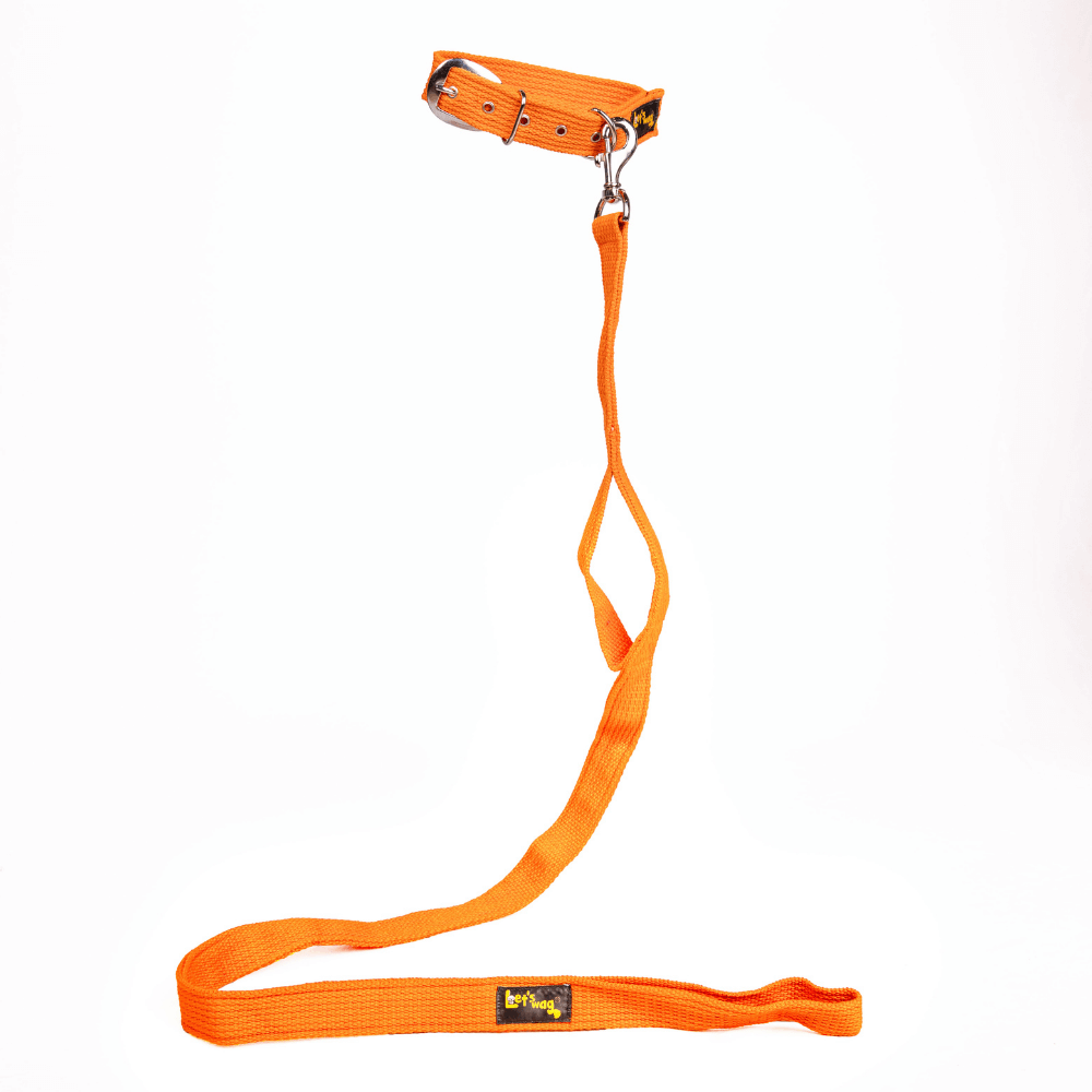 Let's Wag Double Handle Fabric Leash – Orange