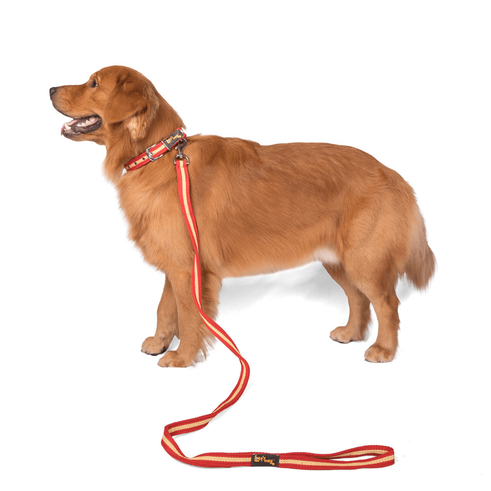 Let's Wag Single Handle Fabric Leash – Red & Yellow