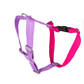 Let's Wag Dual-Clip Design For Training & Safety – Pink Purple