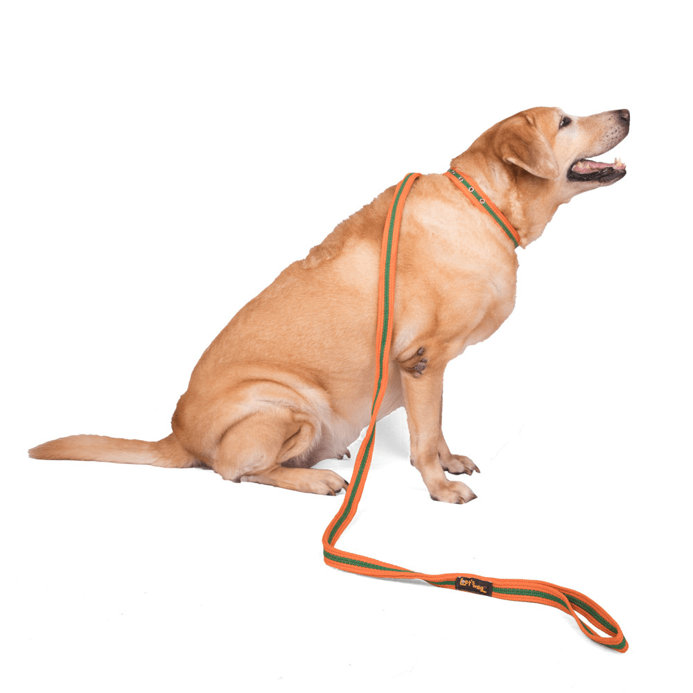 Let's Wag Single Handle Fabric Leash – Orange & Green